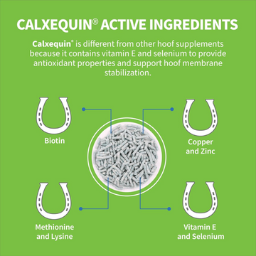 Cosequin Calxequin Daily Hoof Support Pellets for Horses