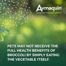 Nutramax Avmaquin Sulforaphane Chewable Tablets for Dogs Benefis