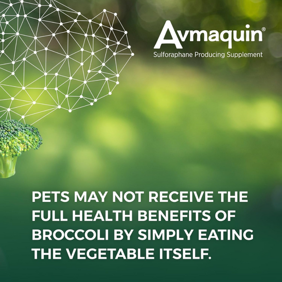 Nutramax Avmaquin Sulforaphane Chewable Tablets for Dogs Benefis