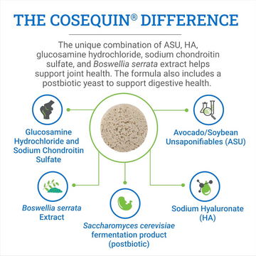 Nutramax Cosequin ASU Joint & Digestive Health Tab for Horses - The Cosequin Difference