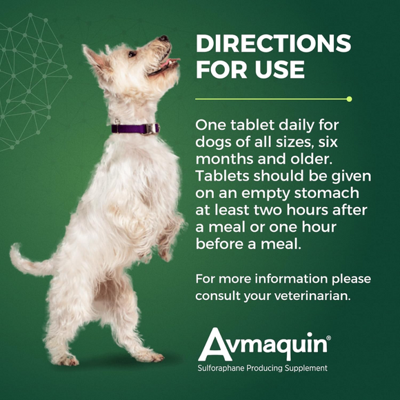 Directions to use Nutramax Avmaquin Sulforaphane Chewable Tablets for Dogs