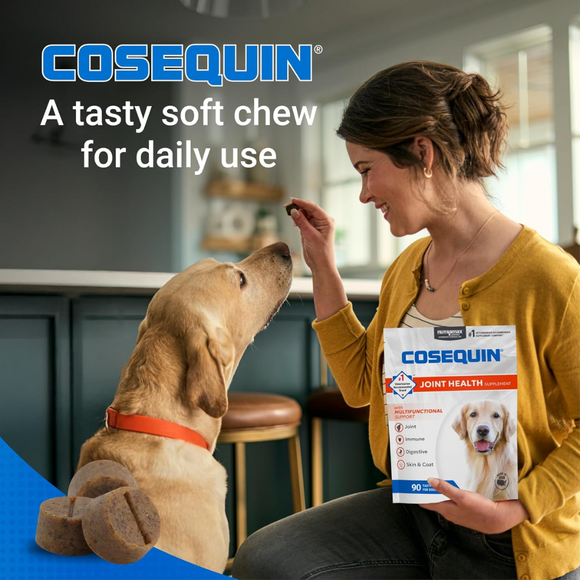 Nutramax Cosequin Tasty Soft Chews for Dogs