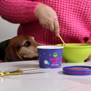 Stashios Magic Mix Goat Milk Dog Treat Baking Mix Powder in Kitchen Being Prepared