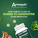 Nutramax Avmaquin Sulforaphane Chewable Tablets for Dogs