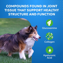 Nutramax Cosequin Elements Joint Health Chew Tablets for Dogs - Compounds found in joint tissue