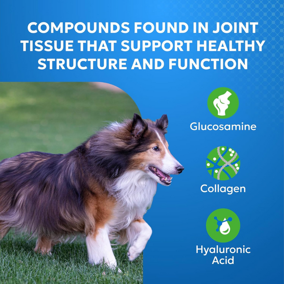 Nutramax Cosequin Elements Joint Health Chew Tablets for Dogs - Compounds found in joint tissue