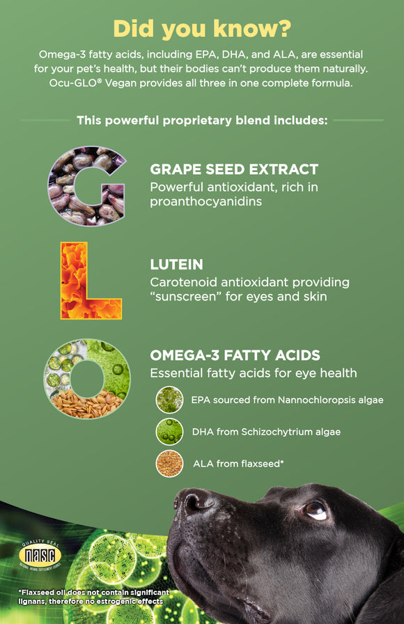 Product packaging with text about Omega-3 fatty acids, grape seed extract, lutein, and a dog looking up.
