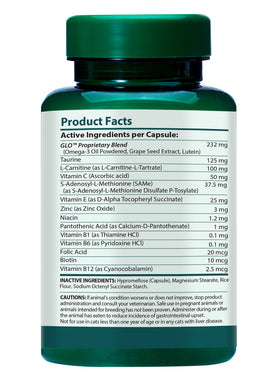Supplement bottle with green cap and label on a white background