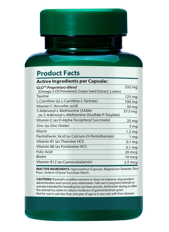 Supplement bottle with green cap and label on a white background