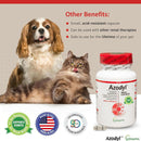 Azodyl Small Capsules - Renal Support Supplement for Cats and Dogs Dog Supplements & Vitamins.