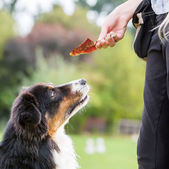 Good 'N' Fun Triple Flavor Wings Dog Treats, Beef, Pork & Chicken