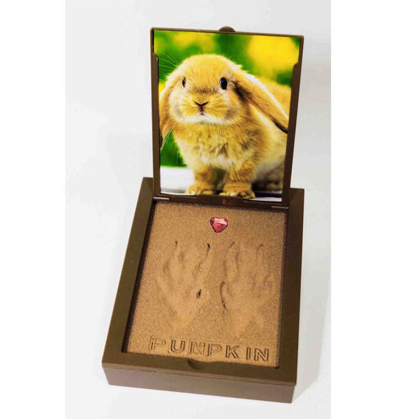 PawPals Paw Print Keepsake Classic Mold Kit rabbit