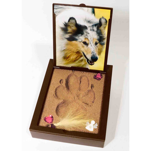 PawPals Paw Print Keepsake Classic Mold Kit big dog