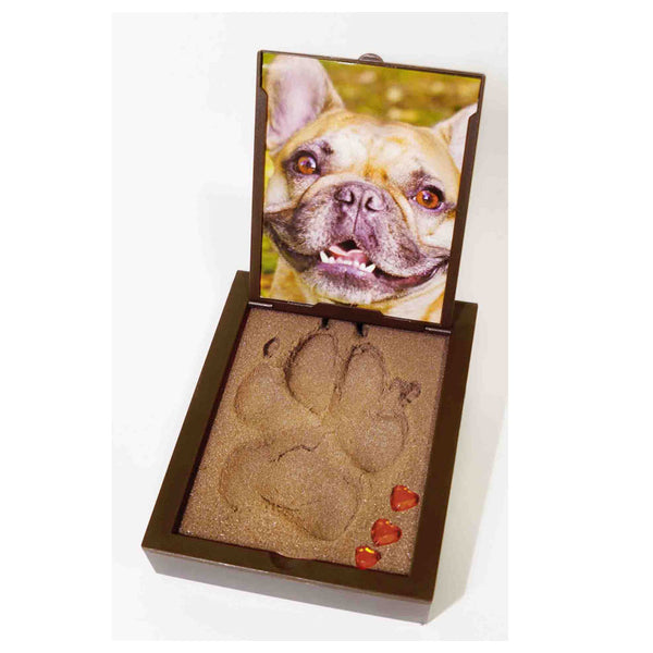 PawPals Paw Print Keepsake Classic Mold Kit