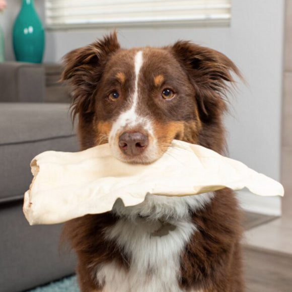 Barking Buddha Peanut Butter Cow Ears Dog Chew