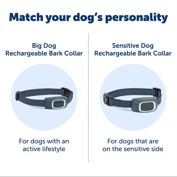 PetSafe Lite Waterproof Rechargeable Static Dog Bark Collar