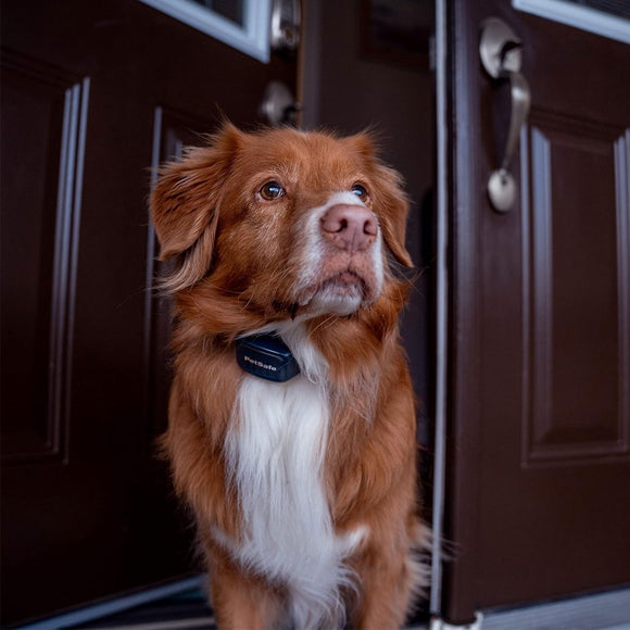 PetSafe Audible Bark Collar with Soundburst Technology