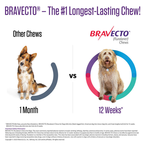 Bravecto for Dogs 22-44 lbs, 1 Chew, 12-weeks