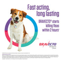 Bravecto for Dogs 9.9-22 lbs, 1 Chew, 12-weeks
