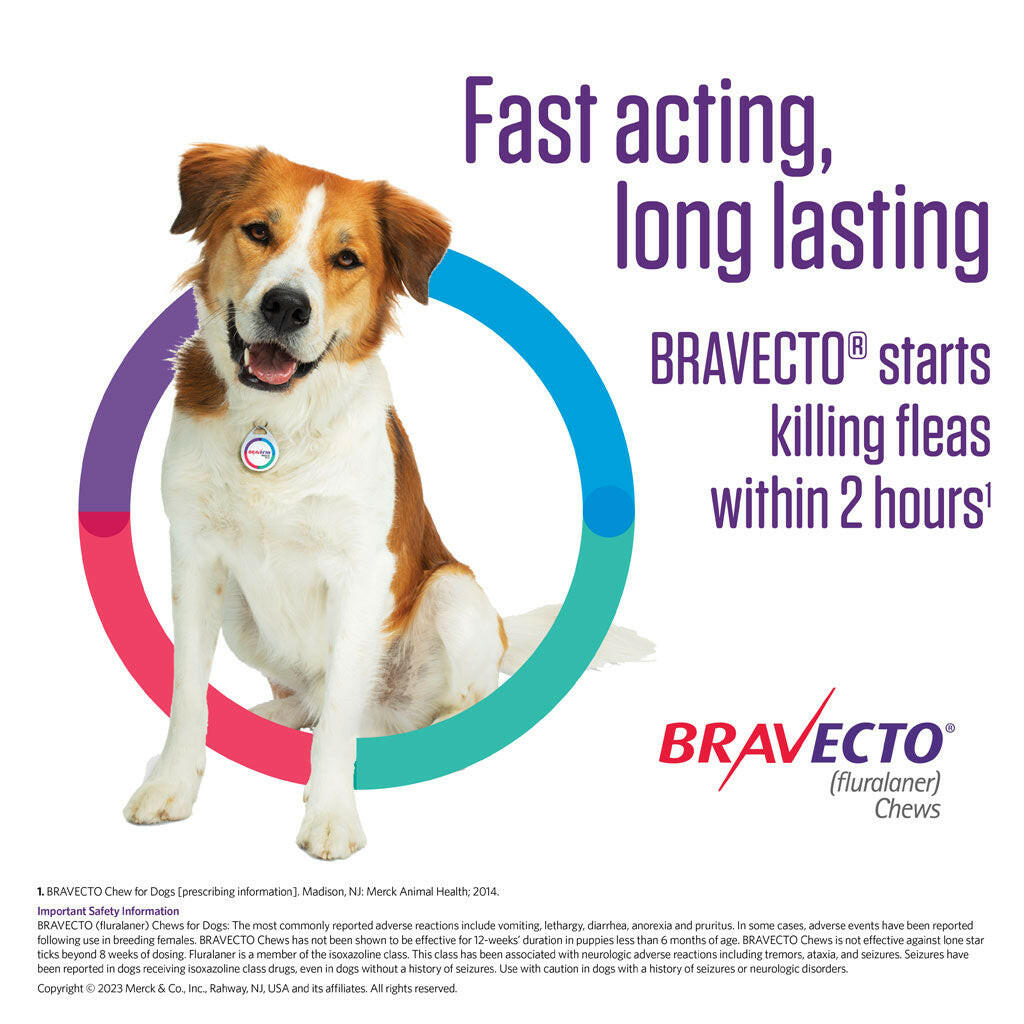 Bravecto Chews for Dogs 44-88 lbs