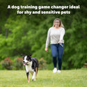 PetSafe Remote Spray Trainer with Citronella/Unscented Refill Cartridges