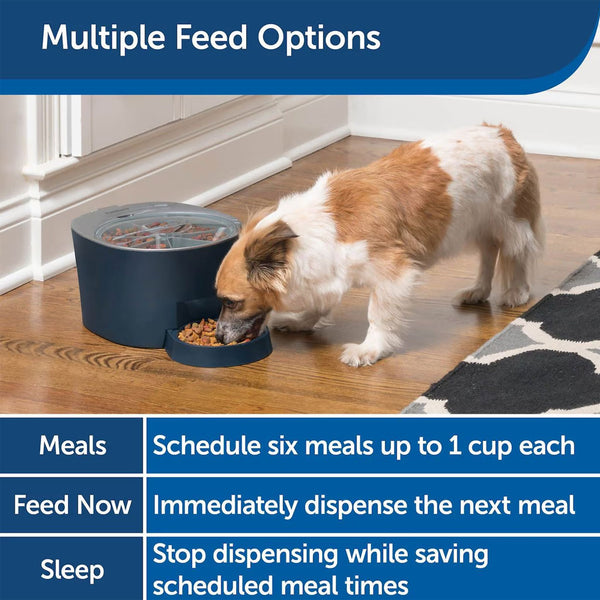 PetSafe 6-Meal Automatic Dog & Cat Feeder