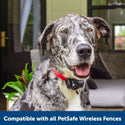 Wireless Pet Containment System Receiver Collar