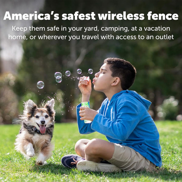 PetSafe Wireless Containment System