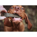 Dog biting a PlaqueOff treat held by a person outdoors