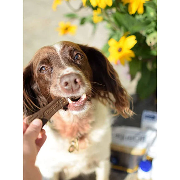 Dog holding a treat with a blurred background of flowers and products