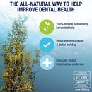Kelp with benefits for dental health on a blue underwater background