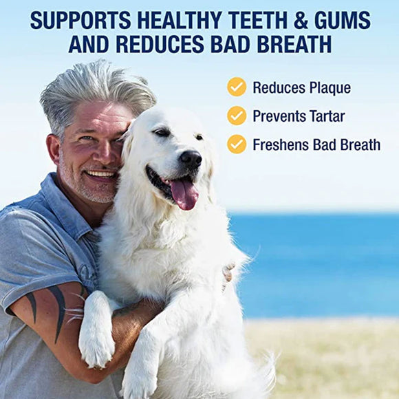 Man holding a dog with text about dental health benefits on a beach background