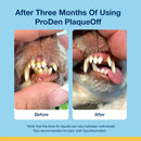 Before and after comparison of a dog's teeth using ProDen PlaqueOff on a blue background.
