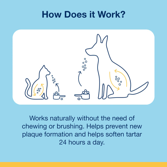Diagram of a dog and cat with dental care products on a blue background, explaining how a product works.