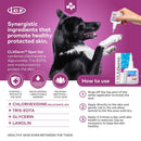 Advertisement for ICF CLX Derm Spot Gel with a dog and product packaging on a purple background.