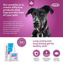 Dog with CLX Derm products on a purple background, featuring ICF branding.