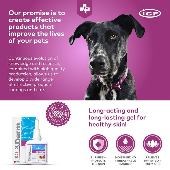 Dog with CLX Derm products on a purple background, featuring ICF branding.
