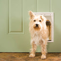 PetSafe Plastic Pet Door for Dogs & Cats, White