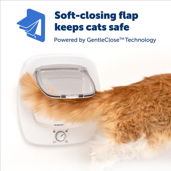 PetSafe 4-Way Locking Plastic Big Cat Door