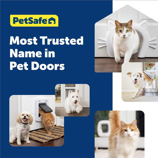 PetSafe 4-Way Locking Plastic Big Cat Door