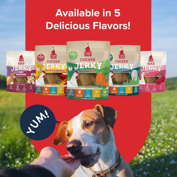 Plates of Life dog jerky packages with a dog in front and text about flavors.