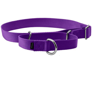 PetSafe Nylon Martingale Dog Collar, Large, purple