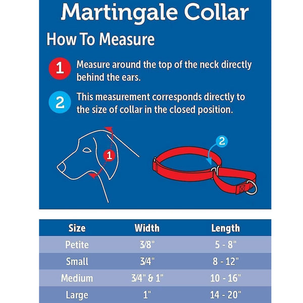 PetSafe Nylon Martingale Dog Collar, Large