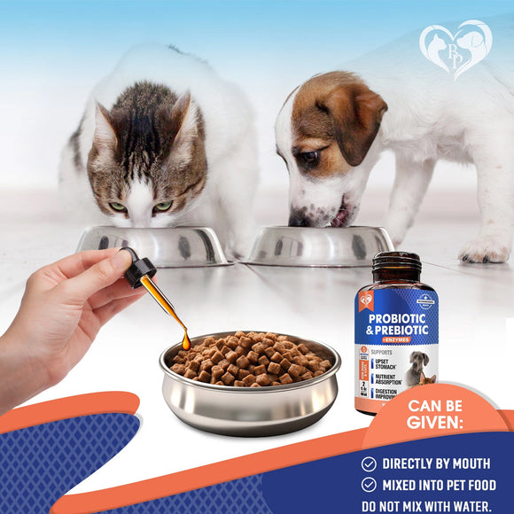 Pet food bowl with probiotic supplement being added, accompanied by a bottle of probiotic and prebiotic supplement.