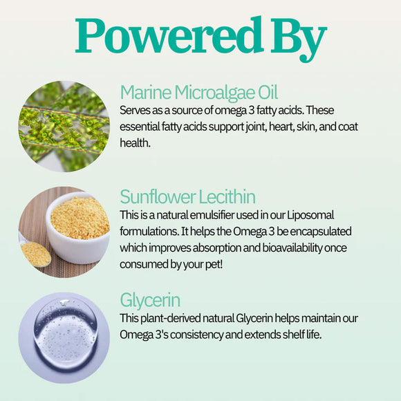 Pet Releaf Rituals Fish-Free Omega-3 Food Supplement for Dogs & Cats, 2-oz