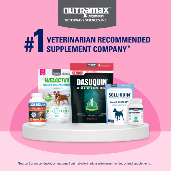 Nutramax Proviable-DC Digestive Health Supplement - Probiotics for Dogs & Cats