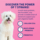 Nutramax Proviable-DC Digestive Health Supplement - Probiotics for Dogs & Cats-4