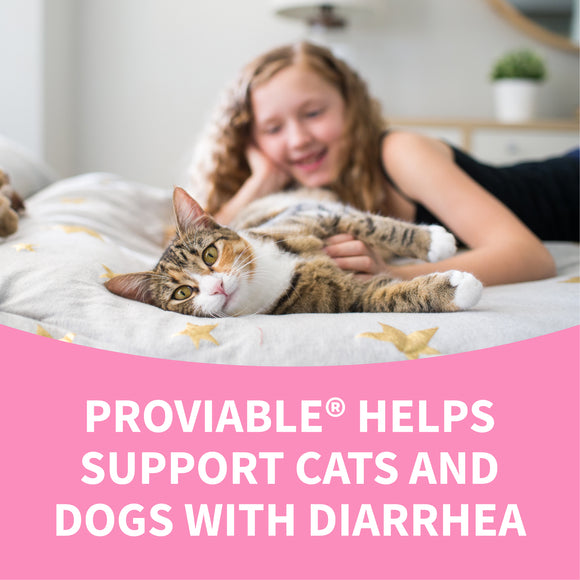 Nutramax Proviable-DC Digestive Health Supplement - Probiotics for Dogs & Cats