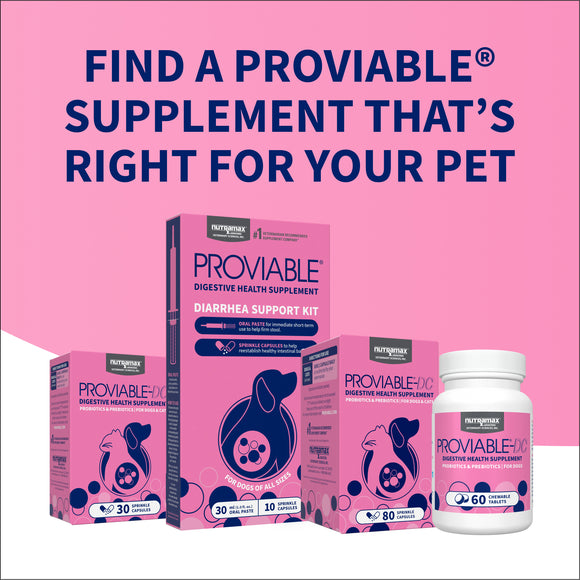 Nutramax Proviable-DC Digestive Health Supplement - Probiotics for Dogs & Cats