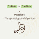 Diagram showing the relationship between pre-biotic, post-biotic, and postbiotic with a stomach icon on a light background.